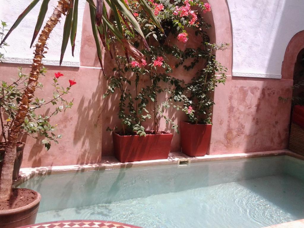 Ryad Dar Ganou Marrakesh Esterno foto