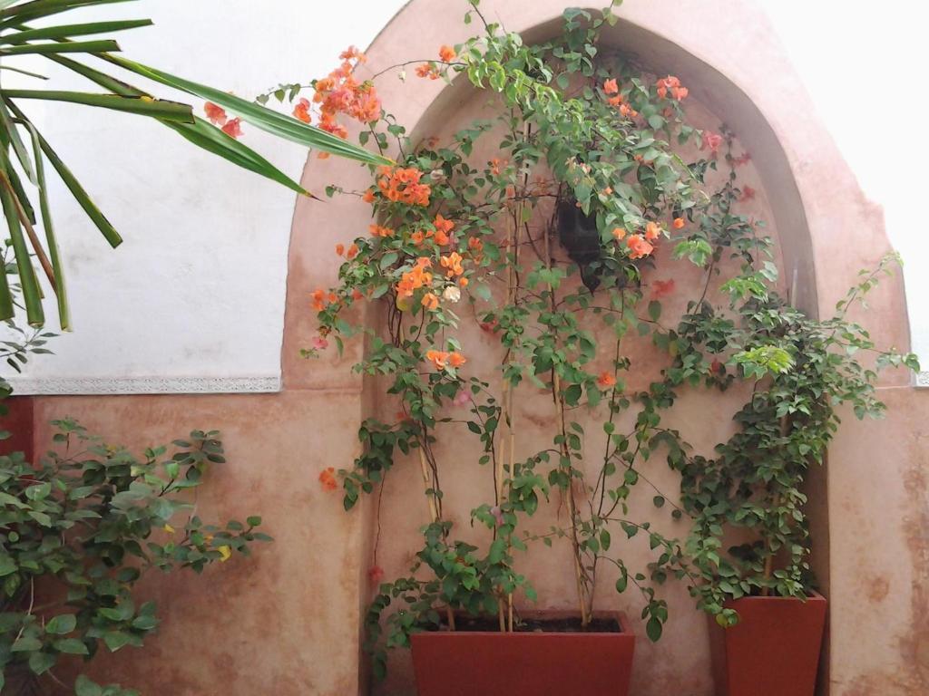 Ryad Dar Ganou Marrakesh Esterno foto